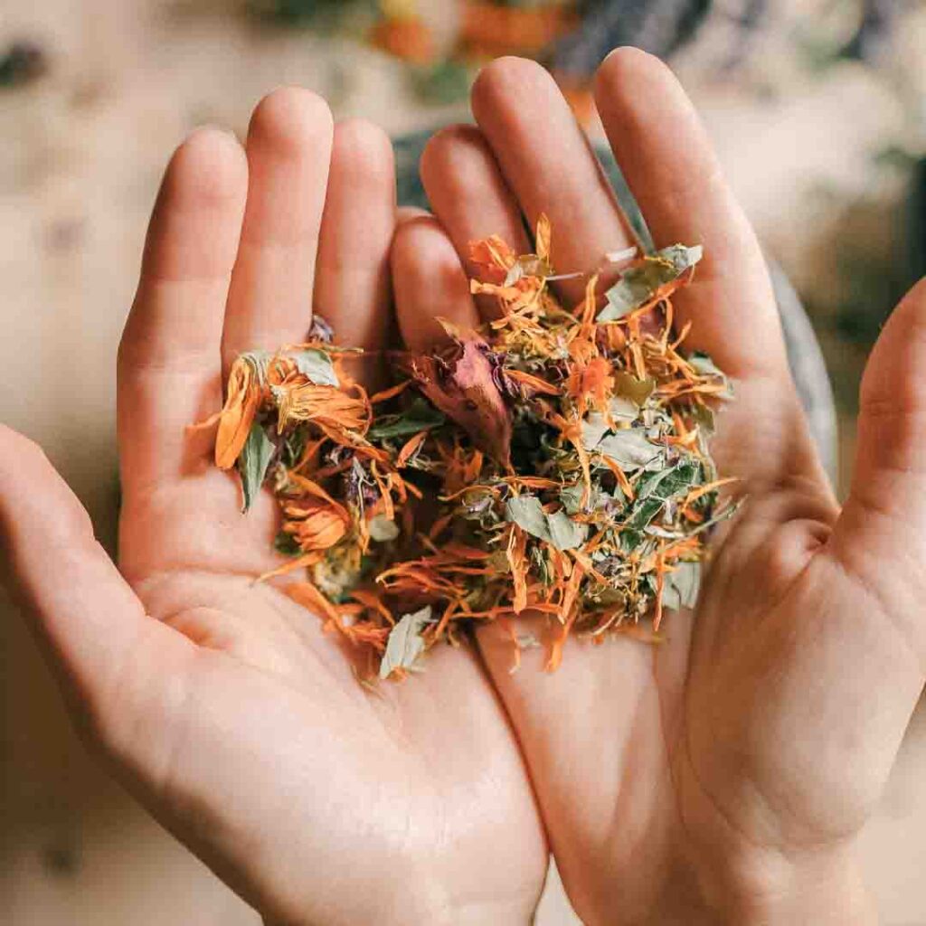 Clinical Naturopathy Consultation Emily Schwarze