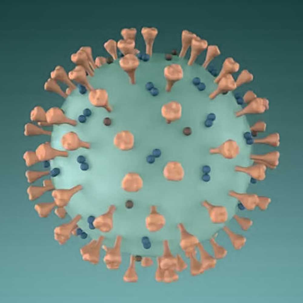 Microscopic illustration of spike proteins used to explain the SpikeCleanse Wellness Protocol by Emily Schwarze